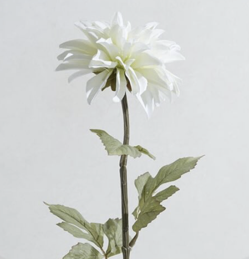 White Dahlia — Large