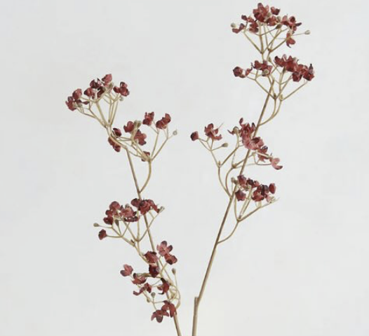 Light Brown Gypsophila