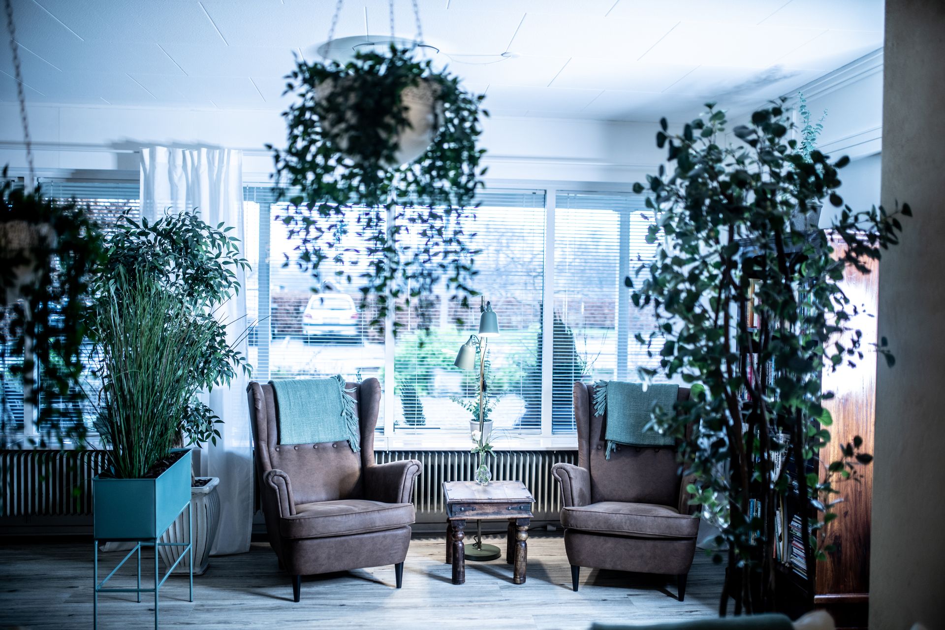 Indoor Plants Decor: Easy Styling Ideas for Indian Homes
